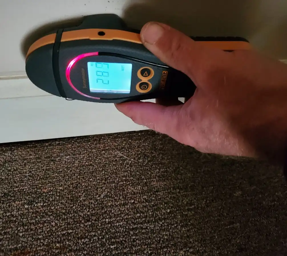 Moisture detection at baseboard during Sewage Cleanup & Sanitation in Amherst